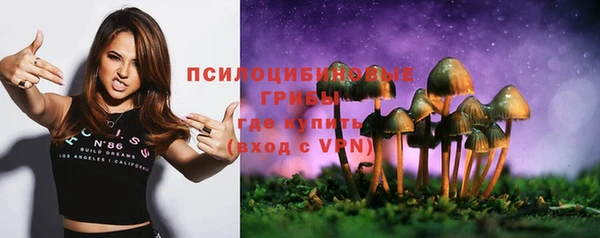 соль курить ск Алексин