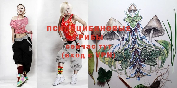 соль курить ск Алексин